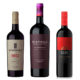 Vinos Argentinos 2023